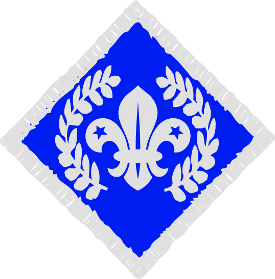 Chief Scouts diamond badge